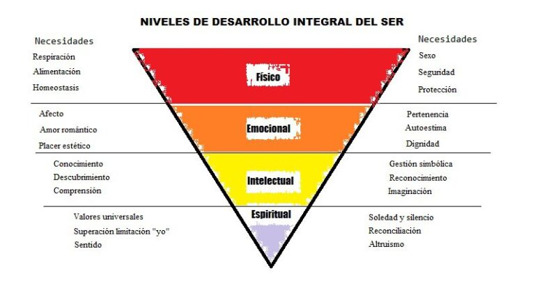 Niveles de desarrollo integral del ser