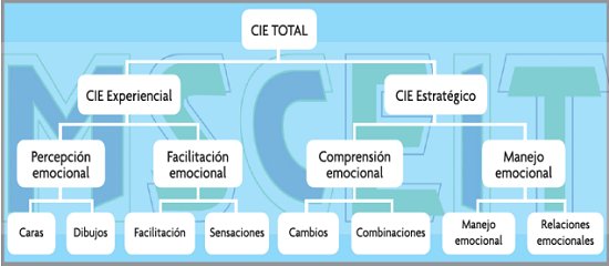 Cómo estimar la competencia emocional. Test MSCEIT.