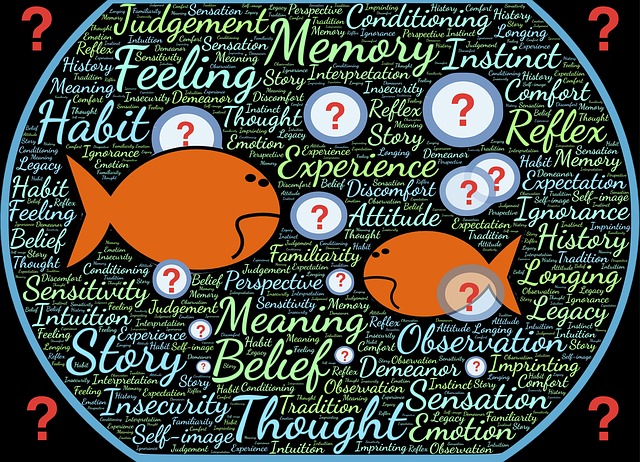 La importancia de la sensibilidad contextual