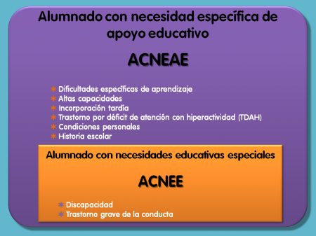 Diferencias entre NEAE y NEE